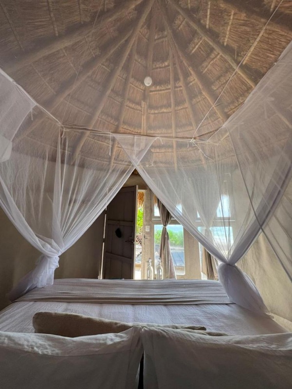 Art Village Tulum image 14