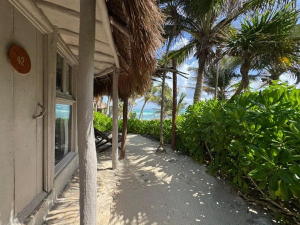 Art Village Tulum image 17