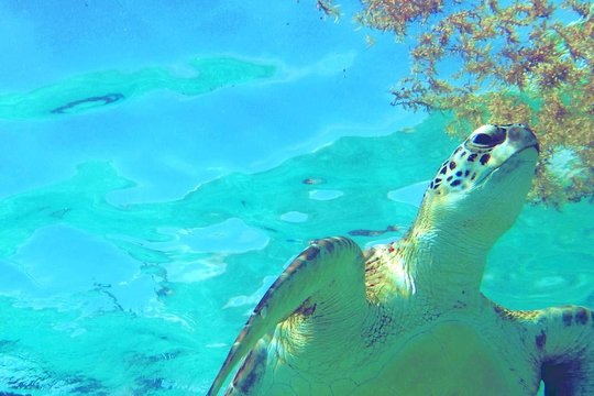 Tour image 2
