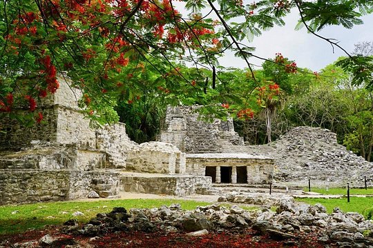 Tour image 5