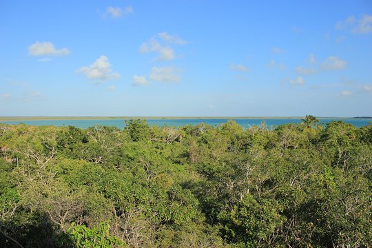 Tour image 4