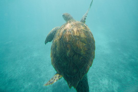 Tour image 8
