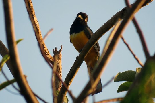 Tour image 6