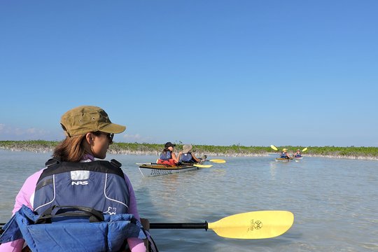 Tour image 13