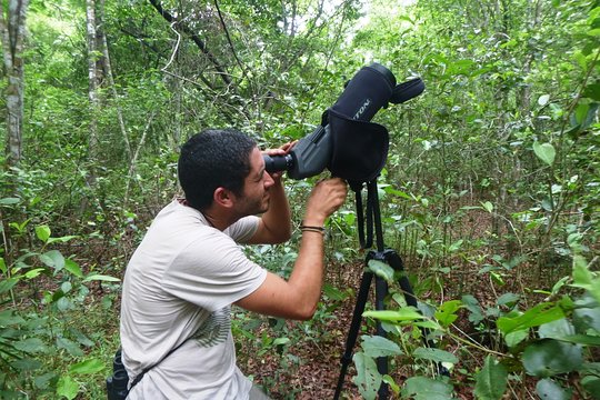 Tour image 5