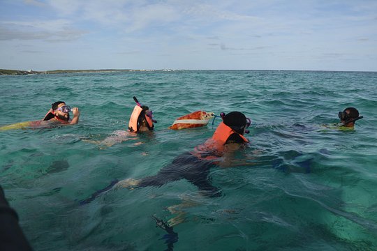 Tour image 6