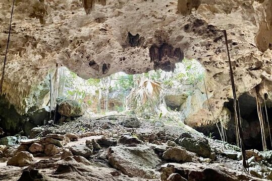 Tour image 5